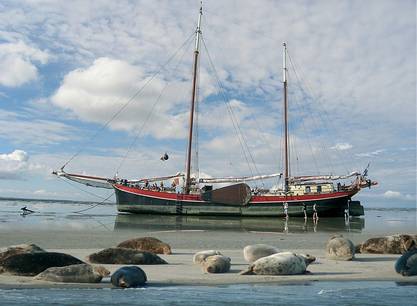 7- daagse zeilvakantie aan boord van zeilschip Aegir vanuit Harlingen op de Waddenzee en /of het IJsselmeer