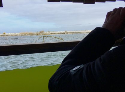 8-Tägiger Segeltörn auf dem Plattbodenschiff Eensgezindheid ab Enkhuizen auf dem  IJsselmeer im Weltnaturerbe Wattenmeer
