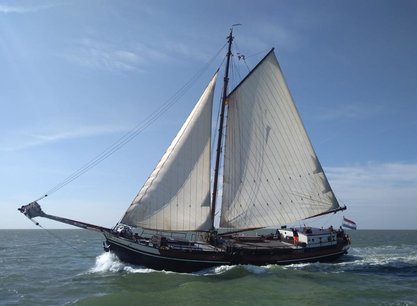 6 genussvolle Segeltage ab Harlingen an Bord der Lauwerszee im Weltnaturerbe Wattenmeer und/oder auf dem IJsselmeer 