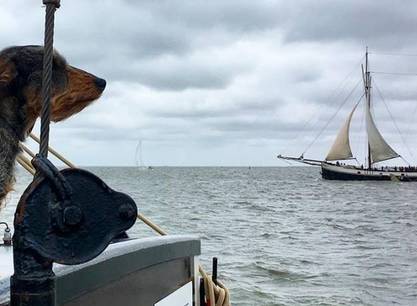 Brandarisrace aan boord van de Lauwerszee vanuit Harlingen