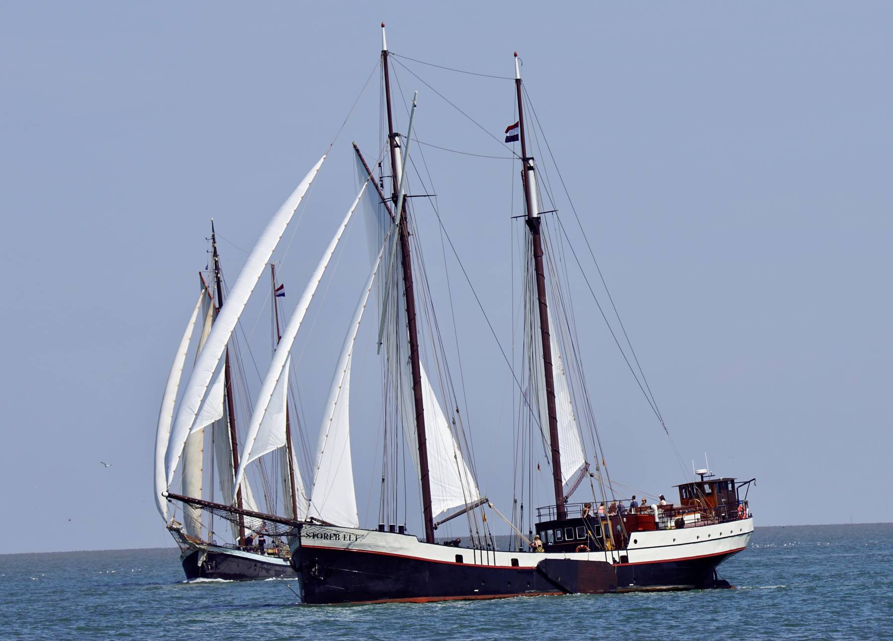 Weekend zeilen met de Storebælt op de Waddenzee en/of het IJsselmeer vanuit Harlingen