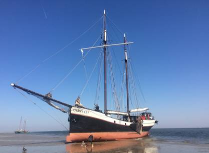 6 genussvolle Segeltage ab Harlingen an Bord der Storebælt im Weltnaturerbe Wattenmeer und/oder auf dem IJsselmeer 