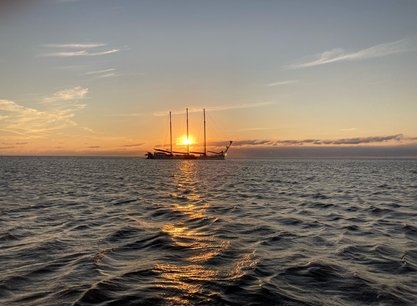 6 genussvolle Segeltage an Bord der Grote Beer ab Harlingen im Weltnaturerbe Wattenmeer und/oder auf dem IJsselmeer 