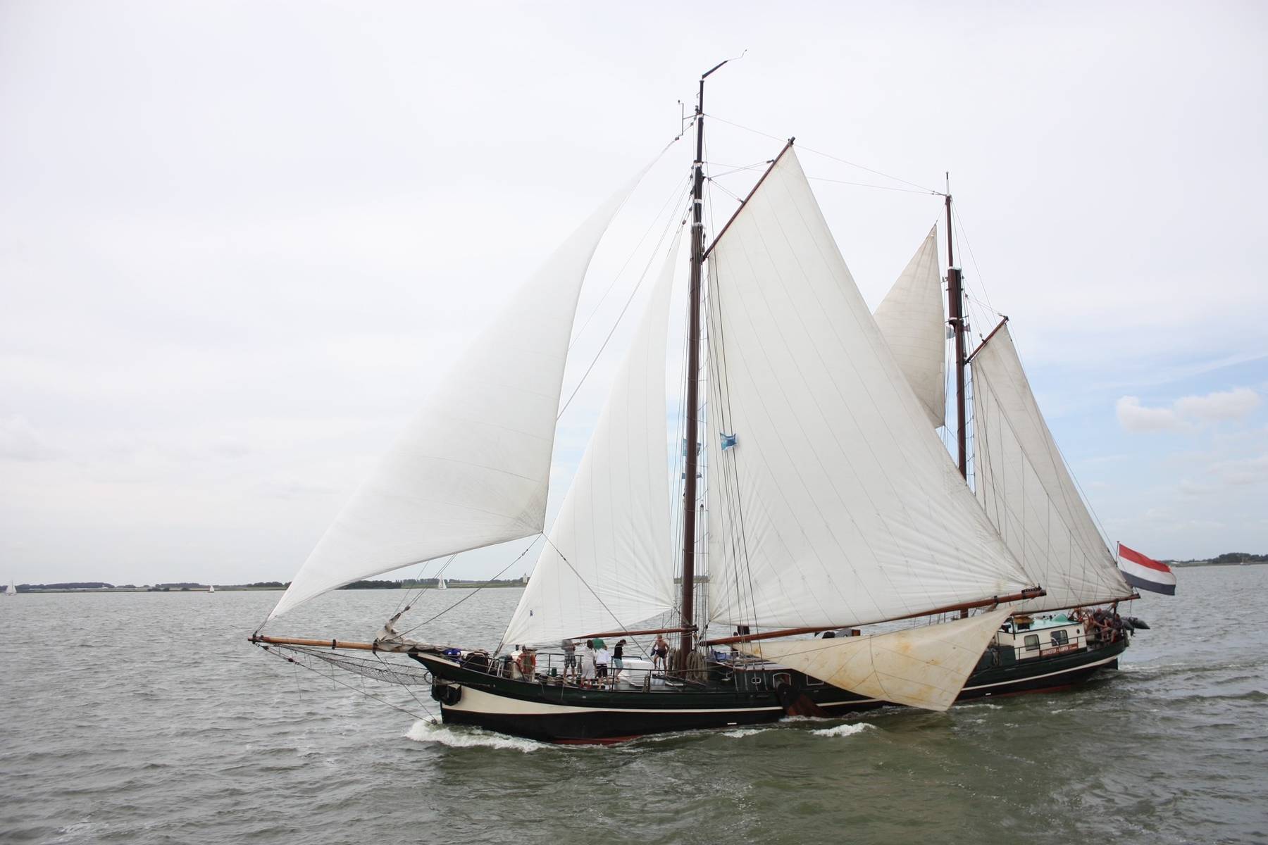 8-Tägiger Segeltörn auf der De Sûdwester ab Kampen auf dem IJsselmeer und/oder im Wattenmeer
