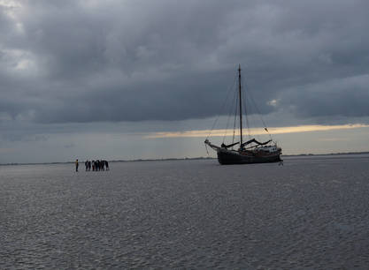 5 genussvolle Segeltage auf der Lauwerszee ab Harlingen im Weltnaturerbe Wattenmeer und/oder auf dem IJsselmeer 